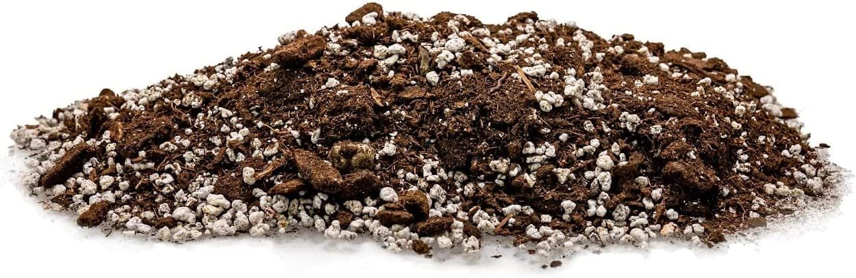 Mezcla de tierra para macetas de aloe vera prémium (bolsa de 5 cuartos de galón)