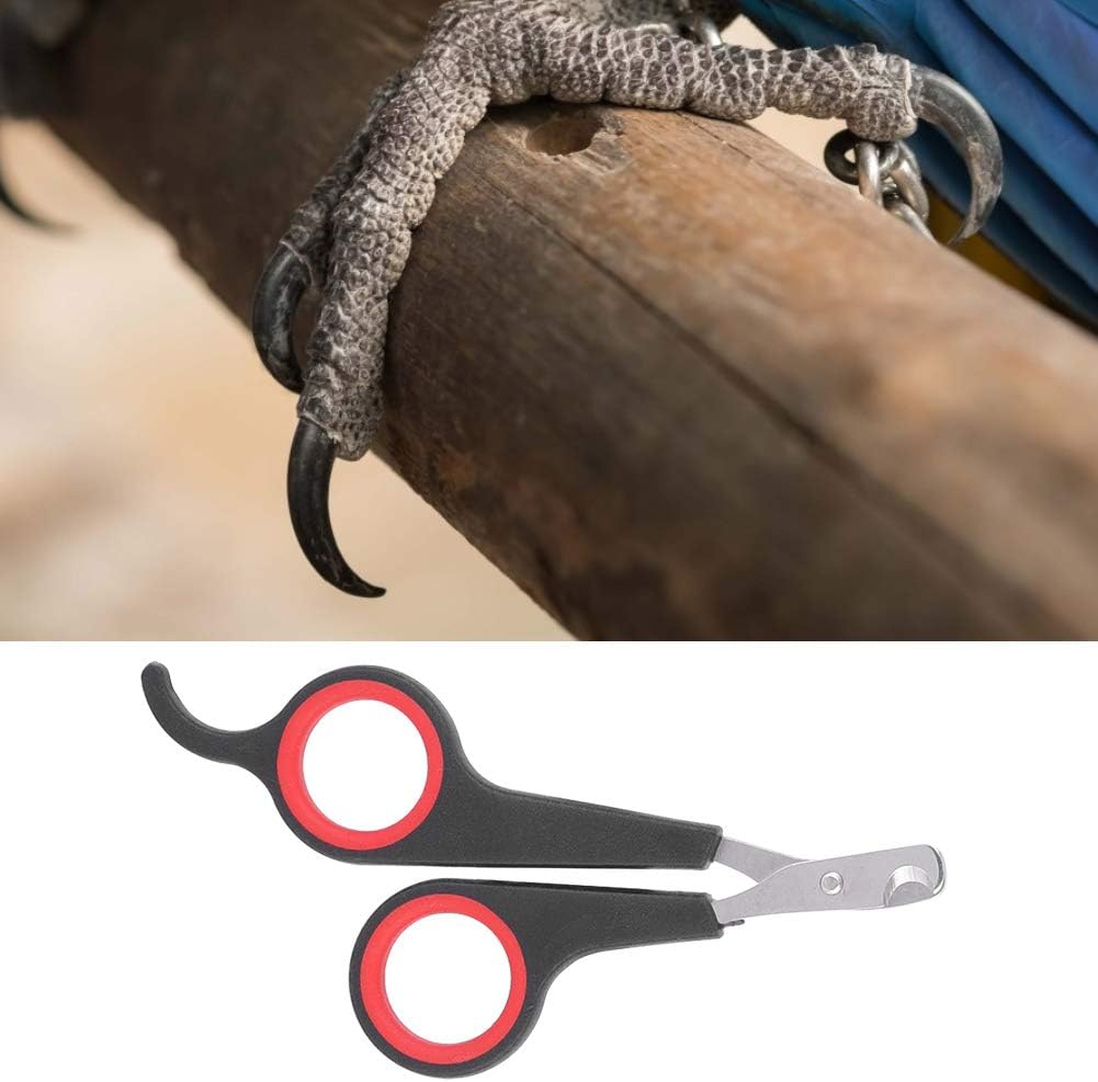 TSYFM Cortaúñas para pájaros, tijeras de uñas de acero inoxidable sólido, tijeras de uñas para pájaros, tijeras para mascotas, pájaros, animales