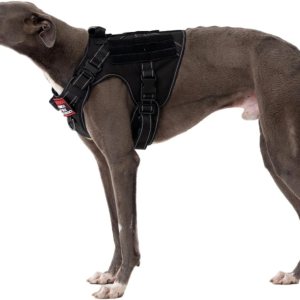 Ohmopie Arnés táctico para perro mediano y grande, arnés ajustable con clip trasero y clip frontal, hebilla de metal resistente, chaleco Molle con Ohmopie Arnés táctico para perro mediano y grande, arnés ajustable con clip trasero y clip frontal, hebilla de metal resistente, chaleco Molle con