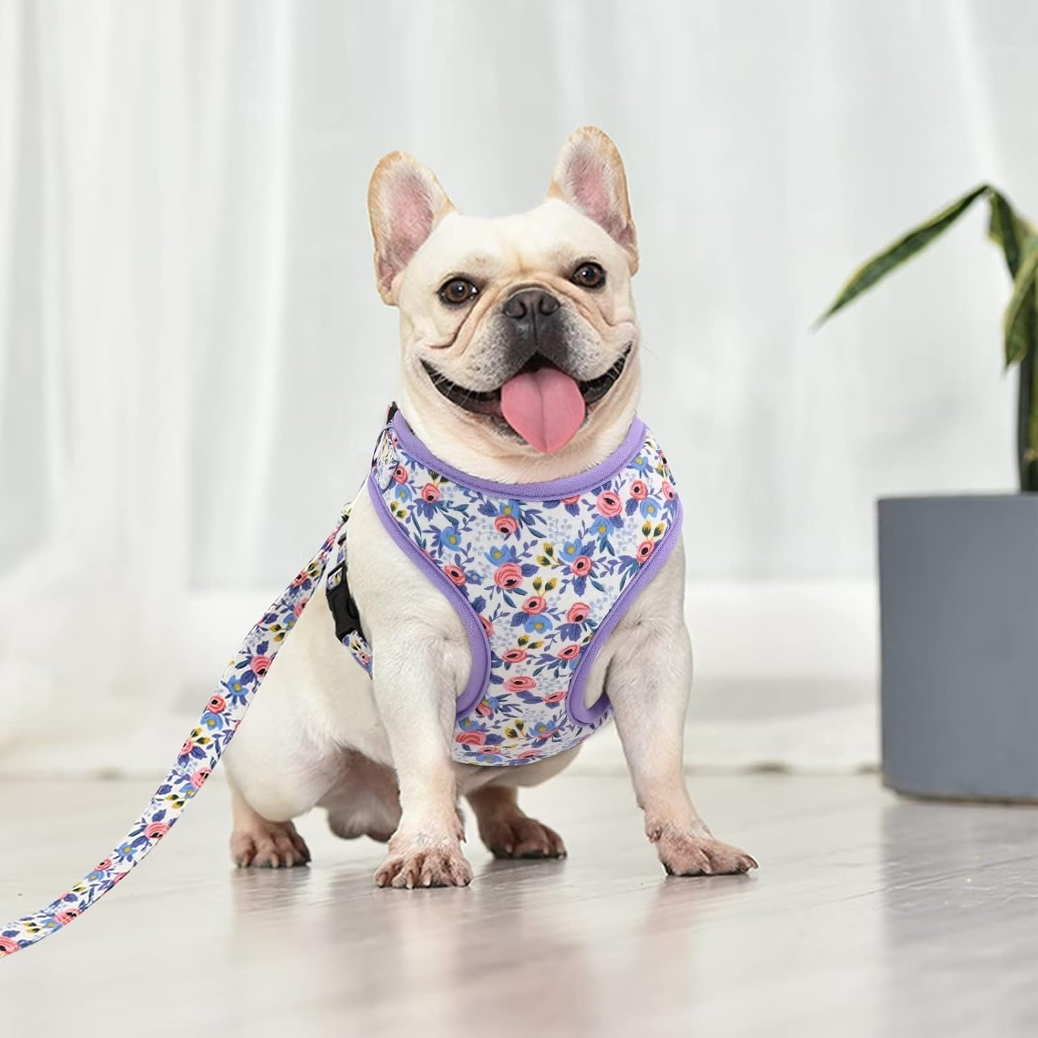 Beirui Juego de arnés y correa para perro con bonito diseño floral, arnés de malla suave ajustable para perro con correa de 5 pies para cachorros