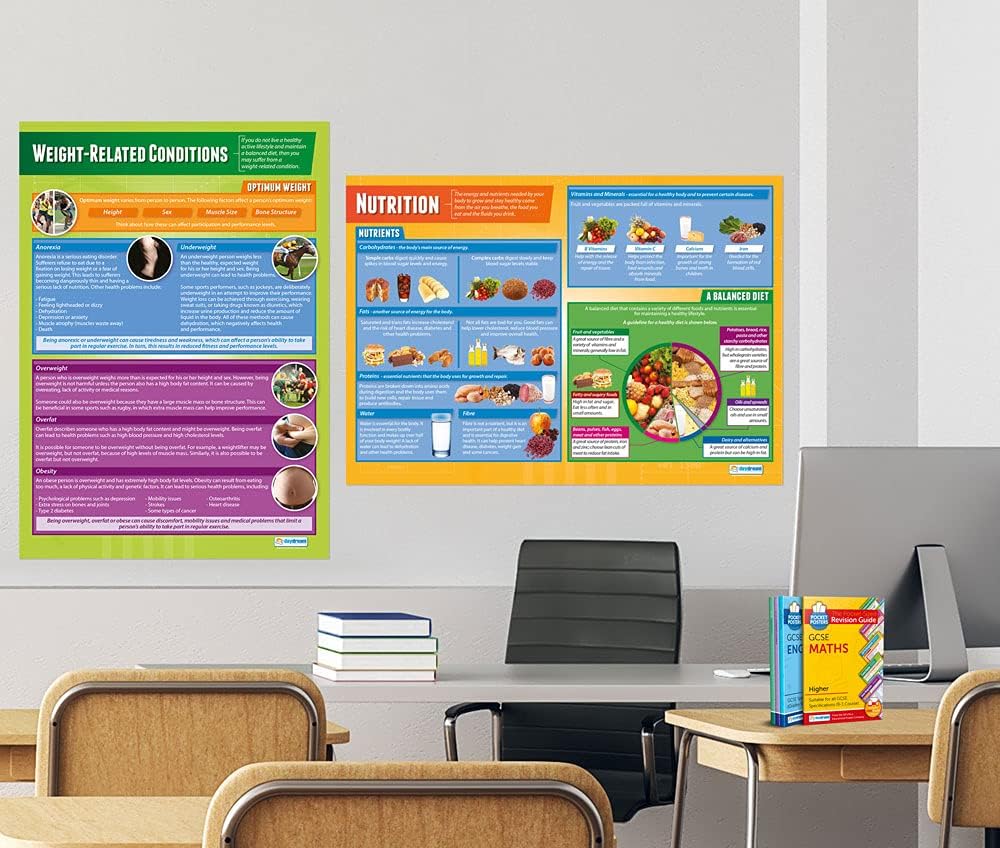Daydream Education Pósteres de salud, fitness y bienestar  Juego de 5  Laminado  FORMATO GRANDE 33 x 23.5 pulgadas  Decoración de aula  Tablas de