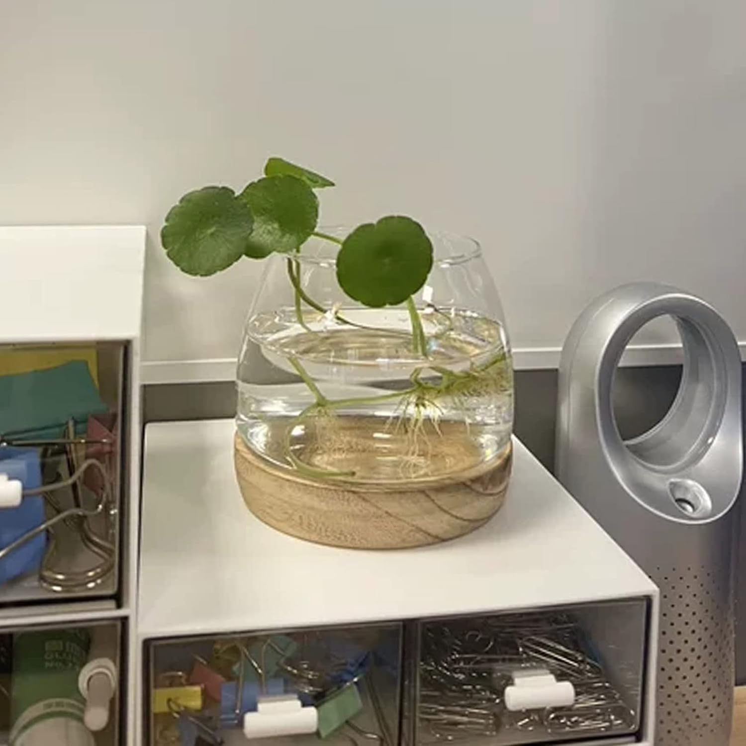 Jarrón de vidrio con base de madera desmontable, pequeño jarrón de vidrio de escritorio para plantas hidropónicas, terrario ecológico, acuario,