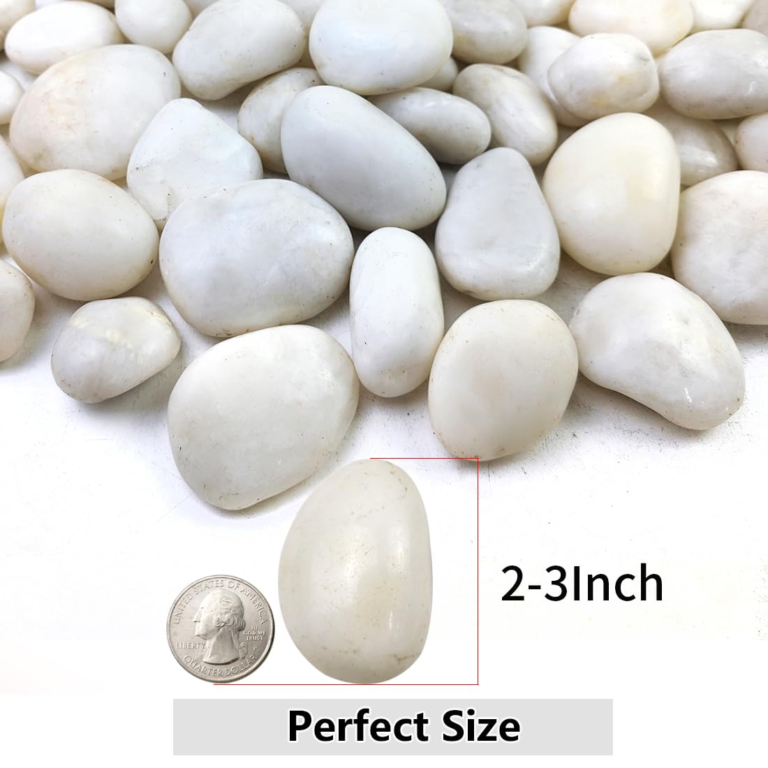 Rocas blancas de río de 40 libras para paisajismo, guijarros naturales de 2 a 3 pulgadas para plantas de interior, piedras decorativas altamente