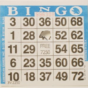 Tarjetas de Bingo Pushout (500 ct)-Seleccione el color a continuación Tarjetas de Bingo Pushout (500 ct)-Seleccione el color a continuación