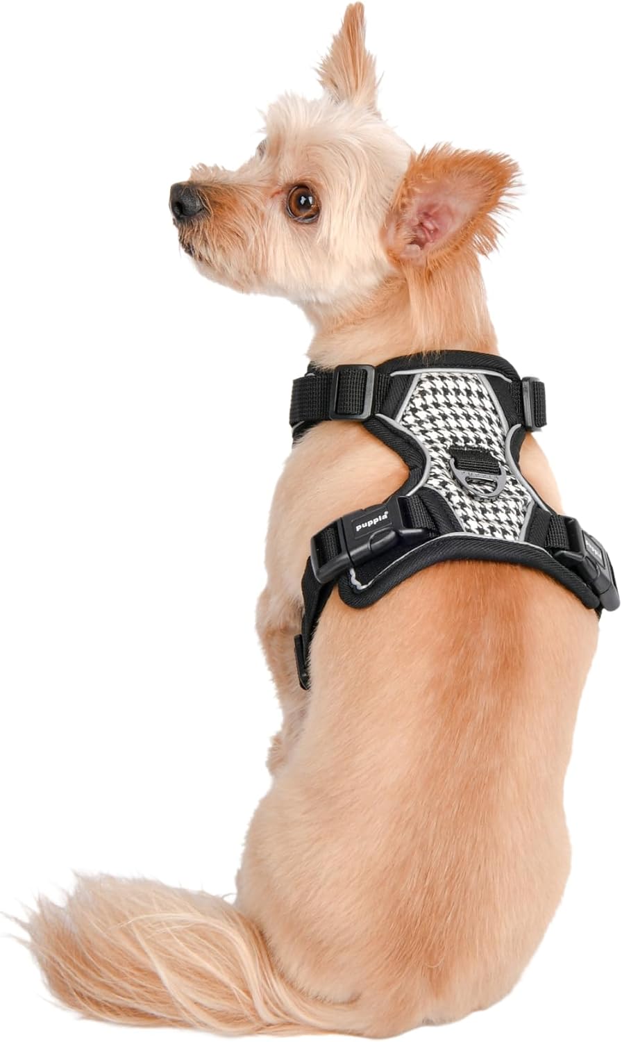 Puppia Conall – Arnés para perro con patrón de pata de gallo, resistente, ajustable, para cuello y pecho, reflectante para perros pequeños y