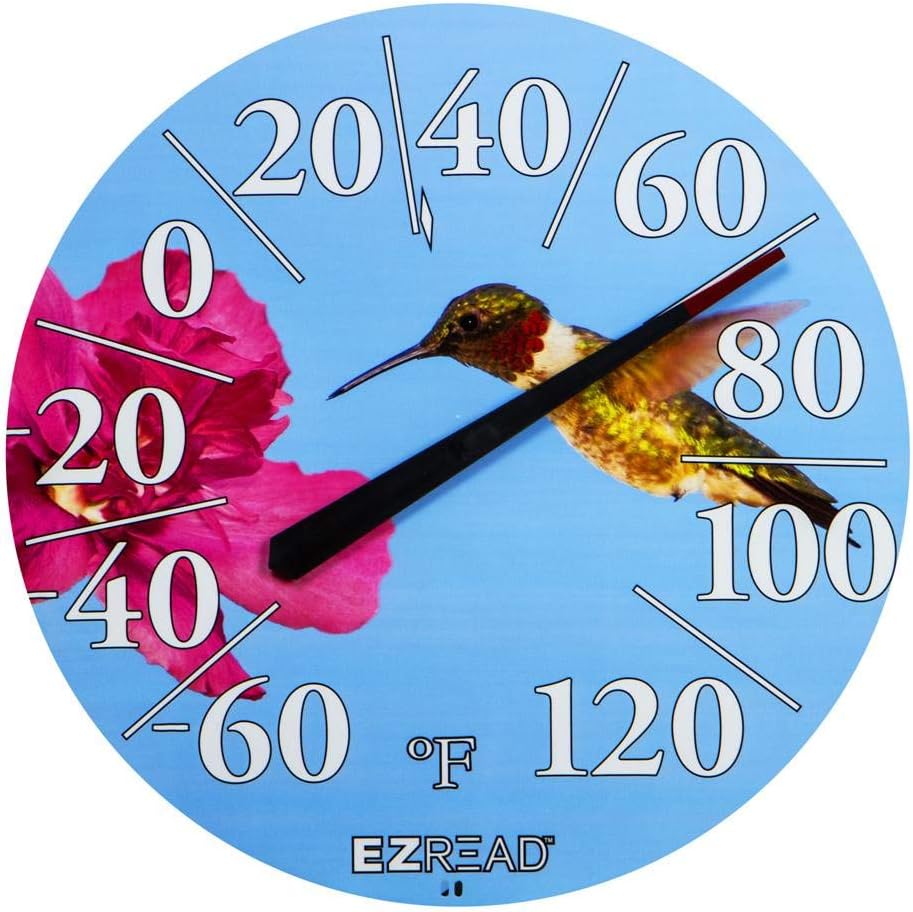 headwind Consumidor 034022ezRead Dial Termómetro de colibrí, 12.5″