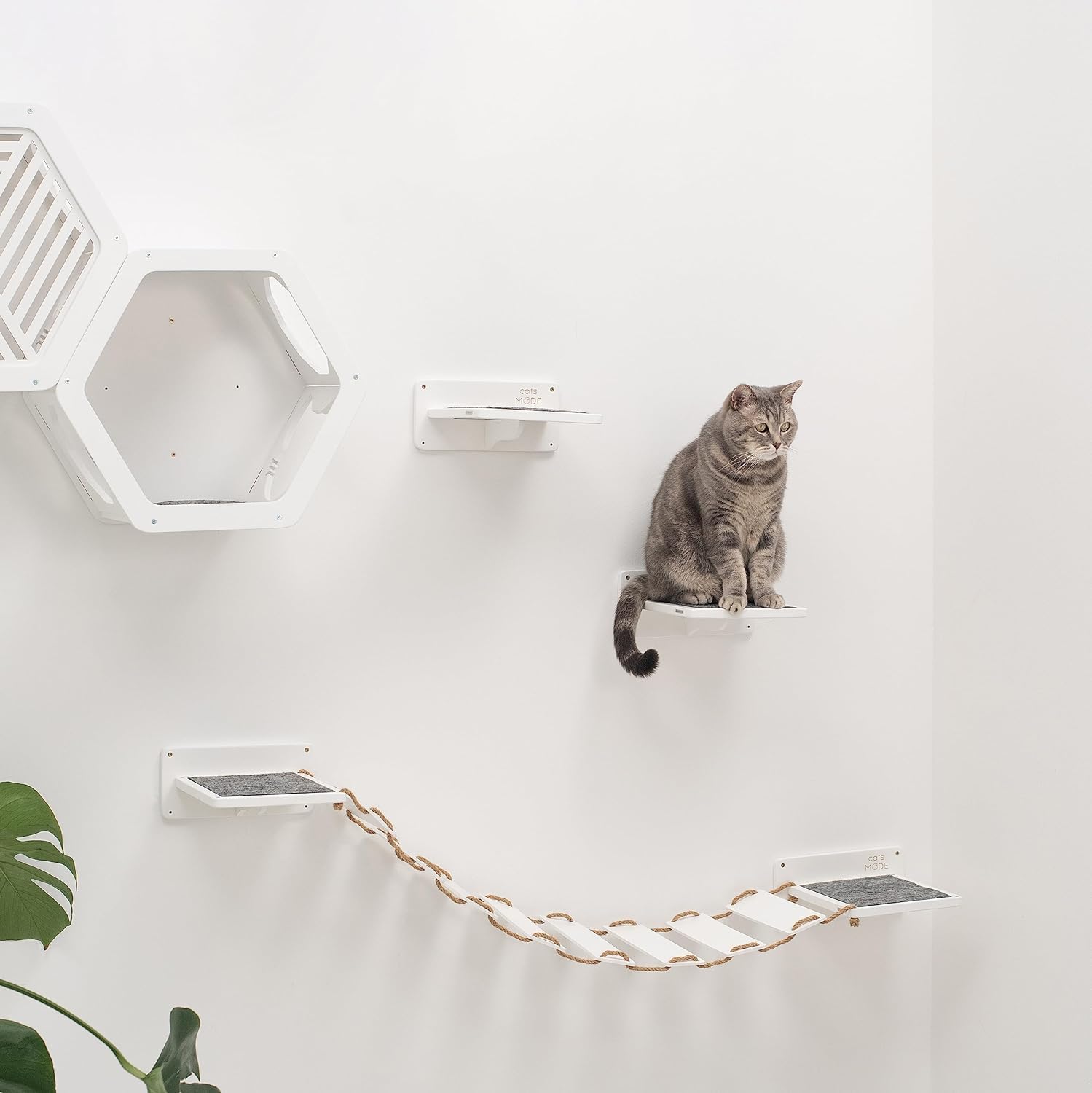 Wall Cat Shelves Wood Cat Wall Shelves Cat Furniture – Wooden Cat Shelf Wall Mounted Cat Wall Furniture – Indoor Cats Rustic Cat Decor Cat Lover
