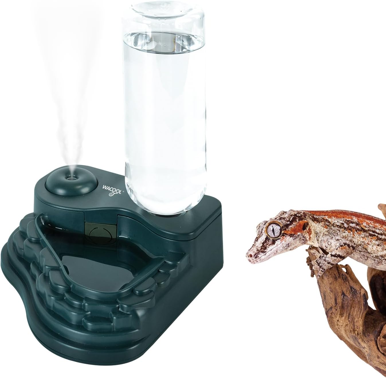 Nebulizador de reptiles y cuenco de agua para reptiles 2 en 1, mini humidificador de reptiles y plato de agua de reptiles para reptiles, anfibios,