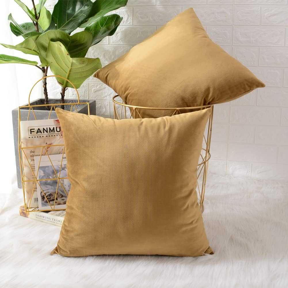 MERNETTE – Juego de 2 fundas decorativas para cojín, cuadradas, de terciopelo suave, para sofá, habitación, silla de automóvil