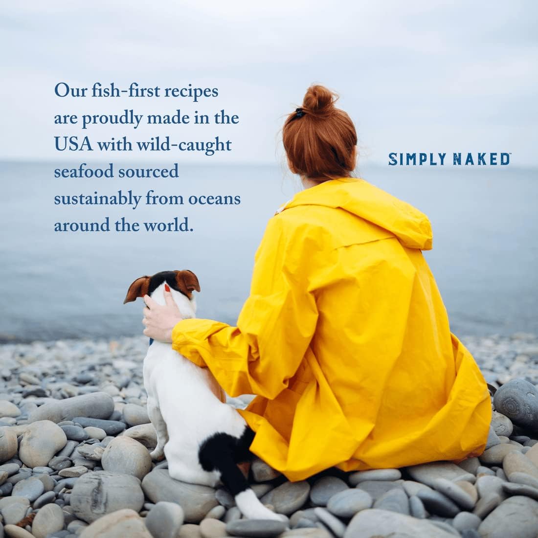 Wild Select Seafood Dog Food  Sin pollo u otros subproductos animales  Rico en ácidos grasos Omega 3 y 6  Pescado capturado silvestre de origen