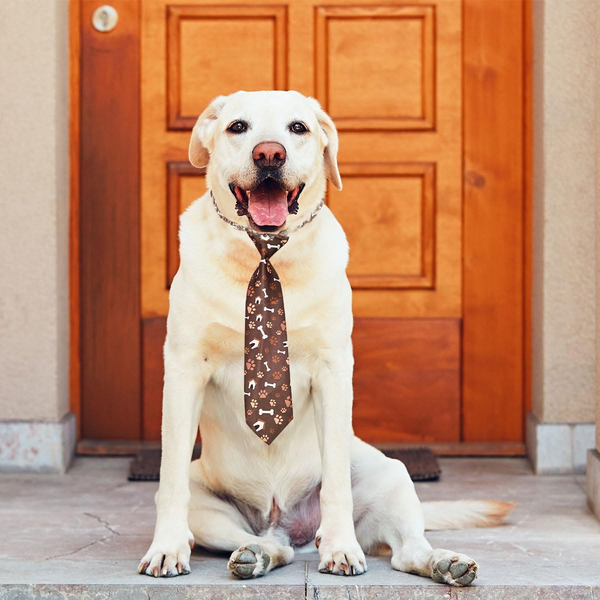 PET SHOW Paquete de 10 corbatas para perros de razas grandes, XL, ajustables, para vacaciones, cumpleaños, accesorios de aseo para el cuello,