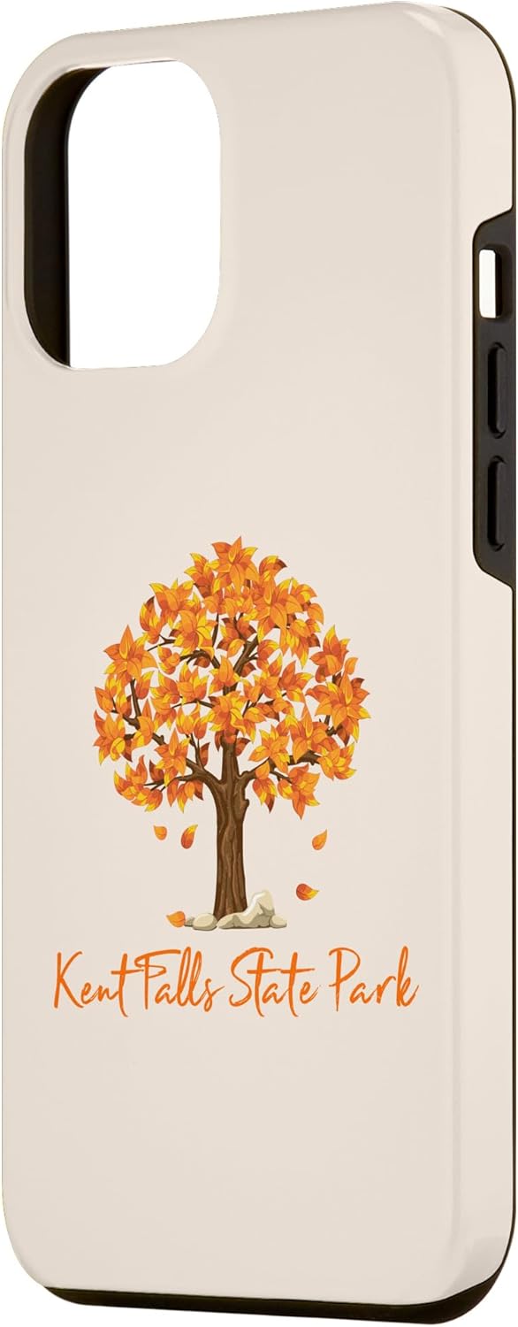 Funda de color para iPhone 13 Pro Max Kent Falls State Park Autumn Follage Fall Leaf Peeping