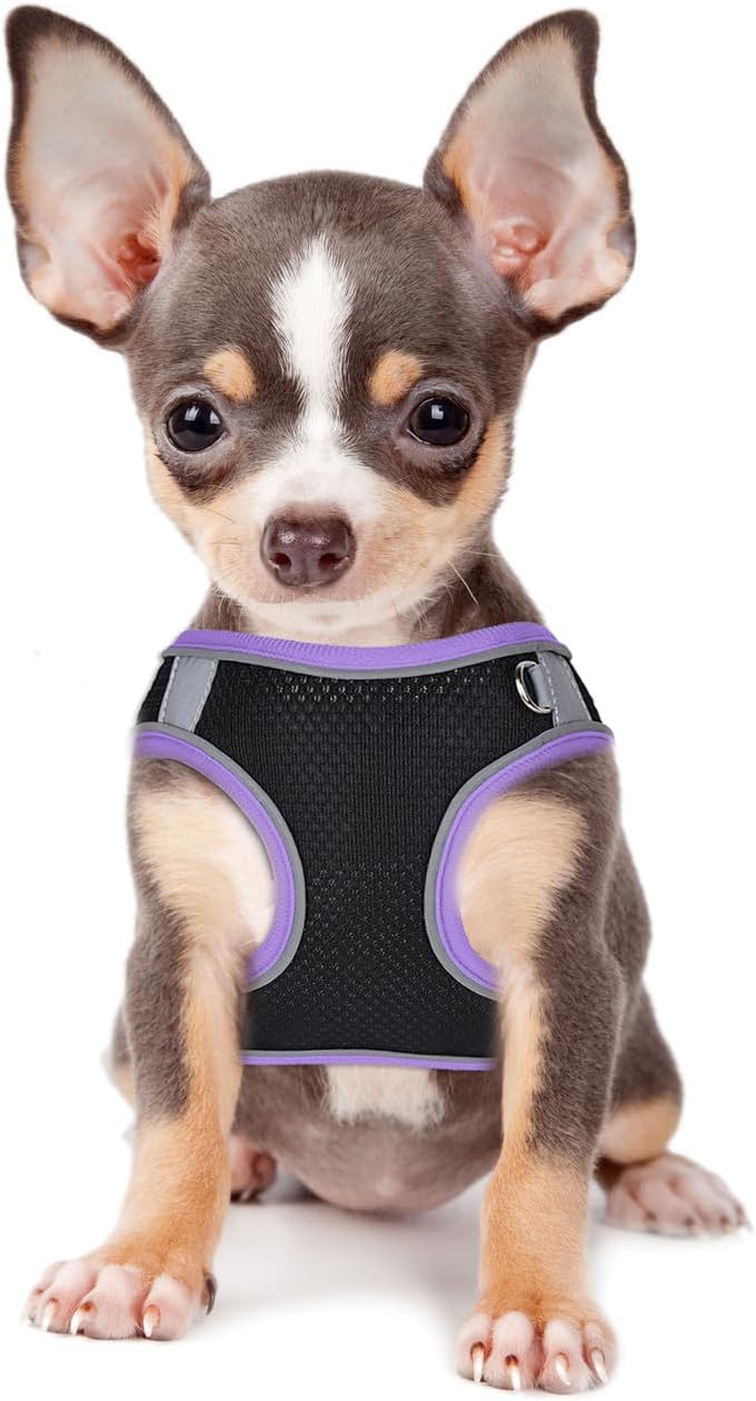 Juego de arnés y correa para perro, arnés para perro sin tirones, con bandas reflectantes, velcro a prueba de escape, chaleco de malla para perro,