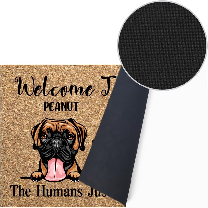 Tapete para puerta de 30 x 18 pulgadas, con nombre del perro, bienvenido a nuestro hogar, tapete personalizado personalizado de bajo perfil para