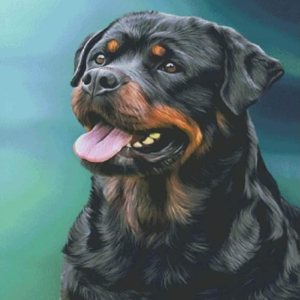 QAZWSX Kits de pintura de diamantes, kits de pintura de diamantes 5D para adultos y niños, lindo rottweiler, arte de diamantes redondos de taladro QAZWSX Kits de pintura de diamantes, kits de pintura de diamantes 5D para adultos y niños, lindo rottweiler, arte de diamantes redondos de taladro