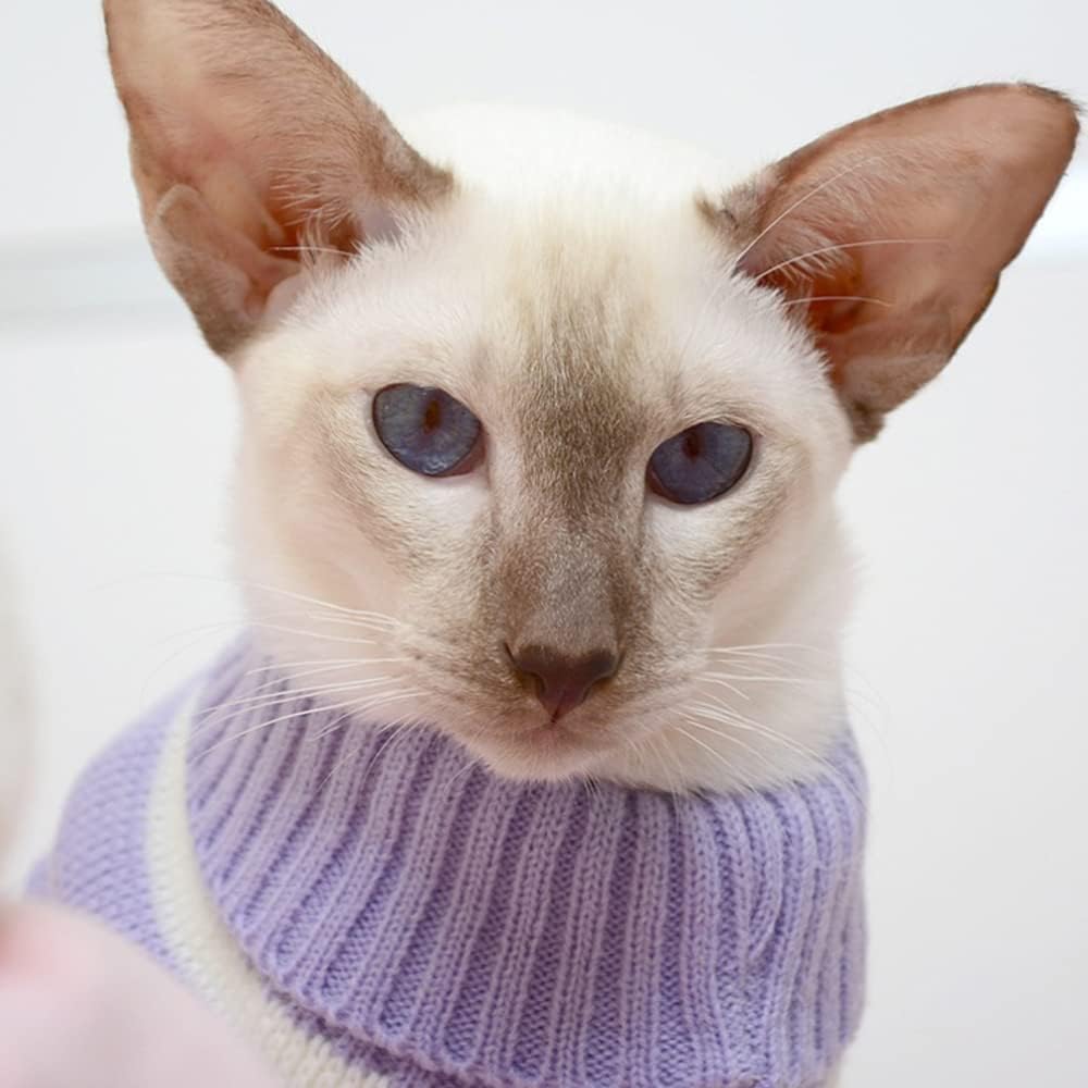 RayMinsino Ropa para gatos para mascotas, ropa para gatos sin pelo, ropa de gatito de cuatro patas de alta elasticidad Ropa para el hogar