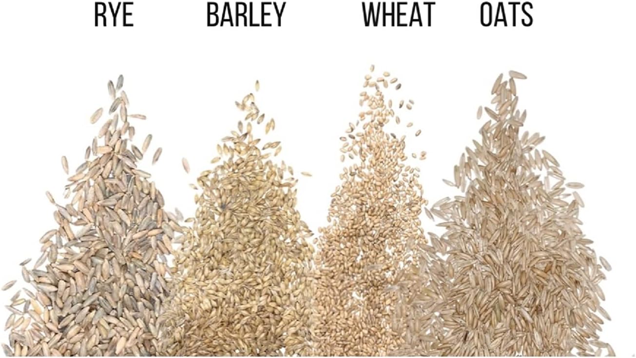 Semillas de hierba de gato para cultivar  Mezcla de 4 vías, centeno, trigo, avena y cebada  Fabricado en Estados Unidos, se envía desde Iowa. (2