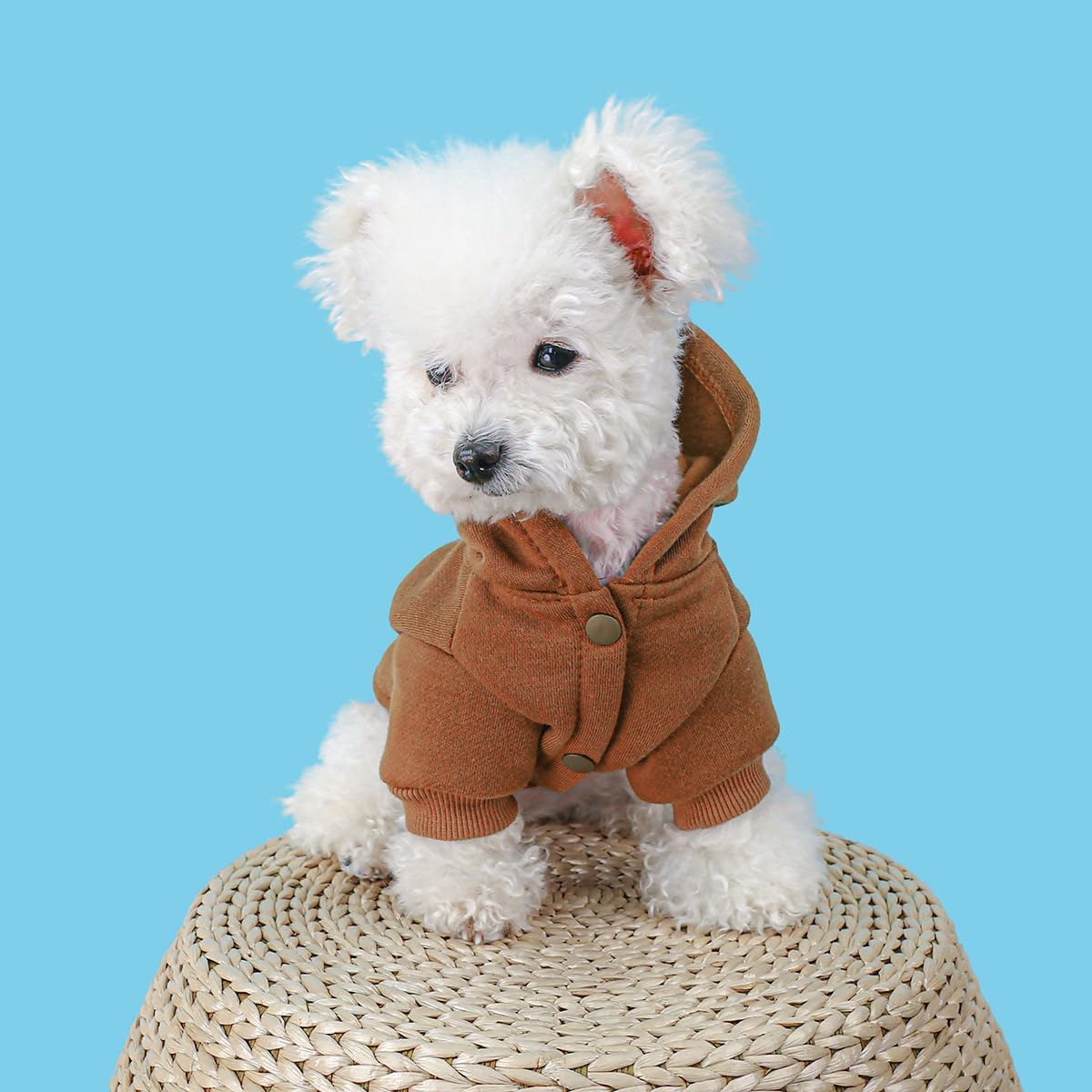 Ropa para perro con capucha para mascotas, abrigo de invierno para cachorros, sudaderas para perros pequeños, niño y niña, patrón de llamarme,