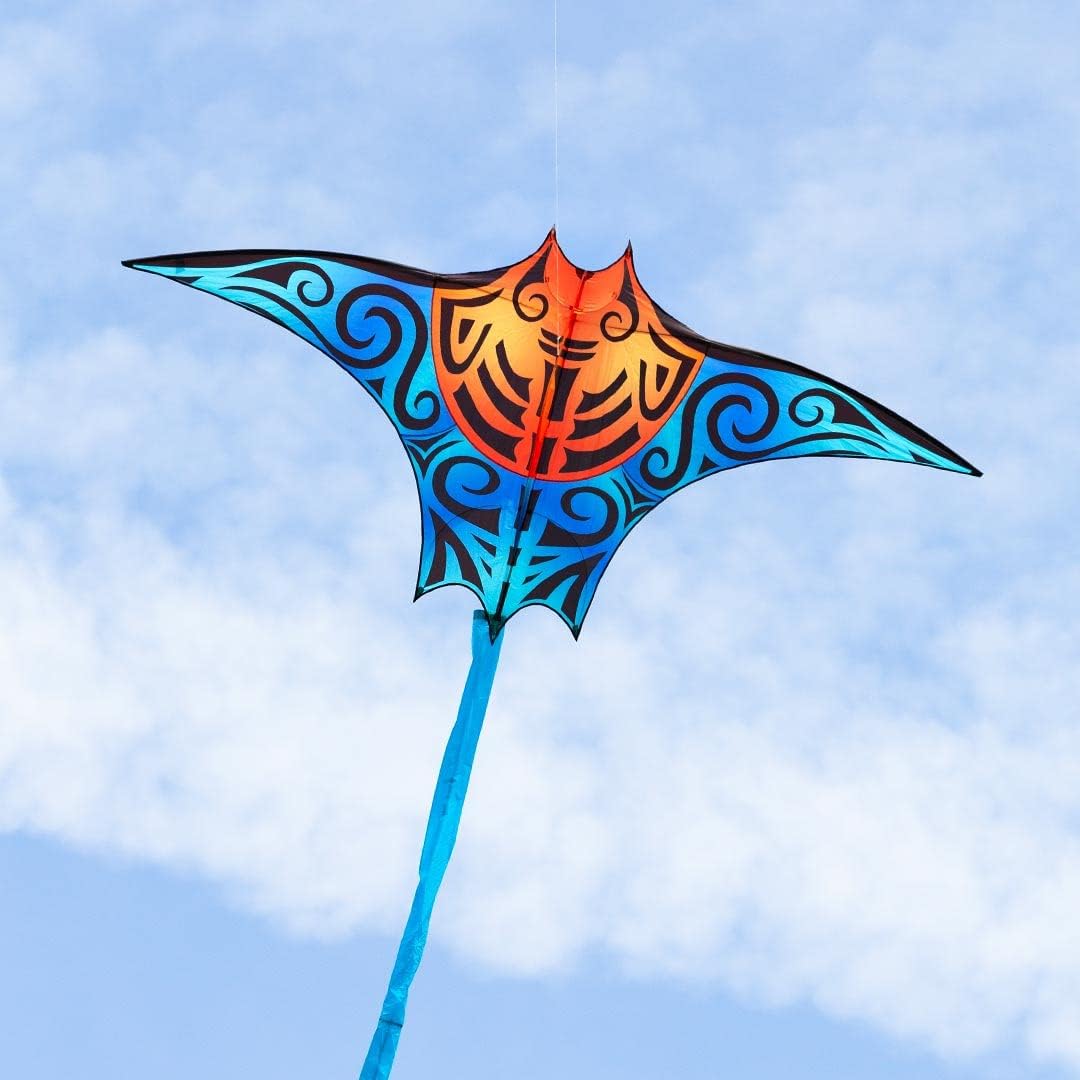 HQDragonfly Kite