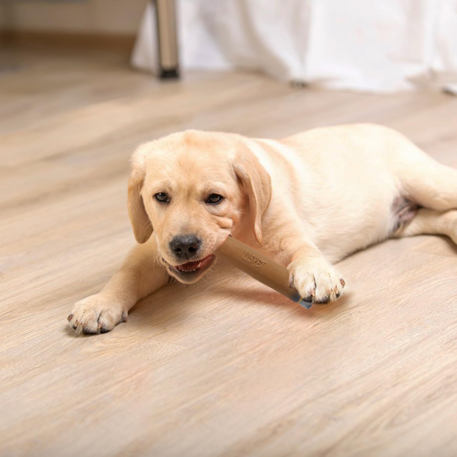 LLSPET Juguetes chirriantes de cigarros, juguetes interactivos de látex para perros, divertidos juguetes para masticar cigarros, para dentición de