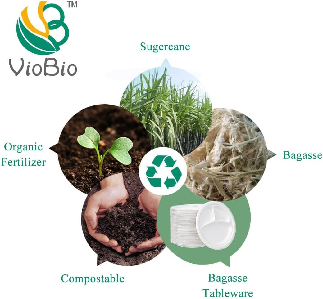 VIOBIO Platos de papel de 10 pulgadas, 3 compartimentos, paquete de 150 platos resistentes, compostables, desechables, para fiestas, respetuosos con