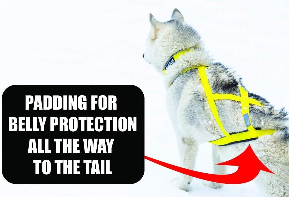 Arnés de trineo profesional de Neewa, arnés para tirar, arnés Husky, arnés de Mushing, arnés X Back para perro ejercicio, ciclismo, esquí, trineo