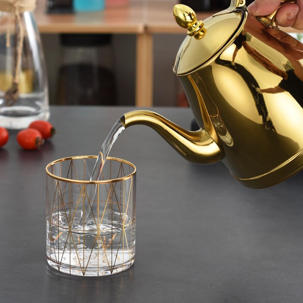 Luxshiny Tetera de acero inoxidable Tetera de cuello de cisne Tetera con tapa de gas Tetera hervida Botella dispensadora de aceite de oliva Botella