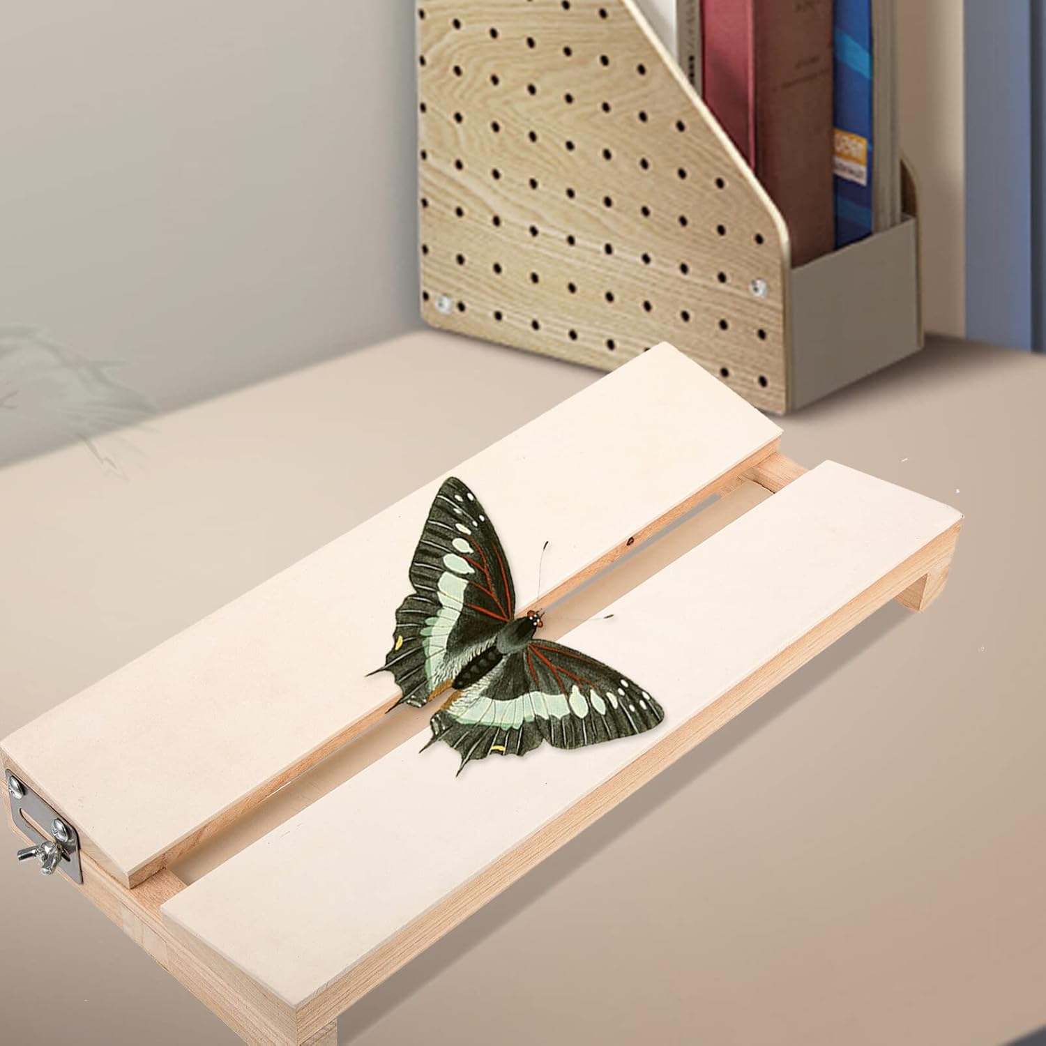 Tablero de difusión de montaje de mariposa Tablero de visualización Tablero de fijación de espécimen Tabla de difusión para educación científica