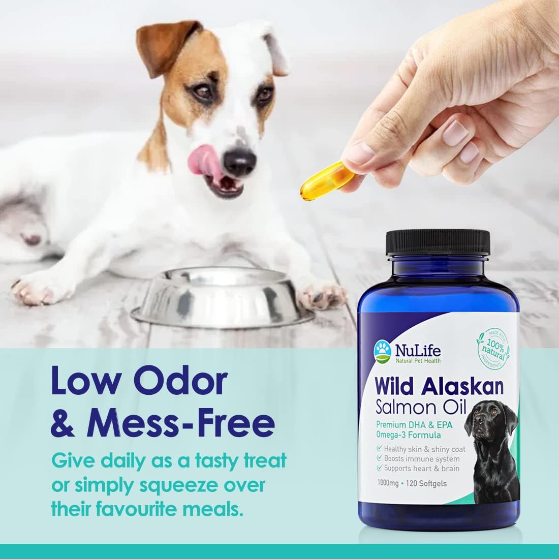 Aceite de salmón puro de Alaska salvaje para perros, suplemento de aceite de pescado Omega 3 para una piel saludable y un pelaje brillante, evita la