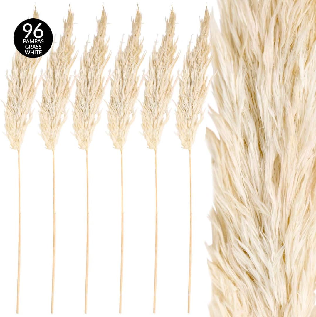 Koyal Wholesale Plumas decorativas de hierba de las pampas secas reales, 28-32 pulgadas, color blanco, a granel de 96 piezas de tallos de plantas de