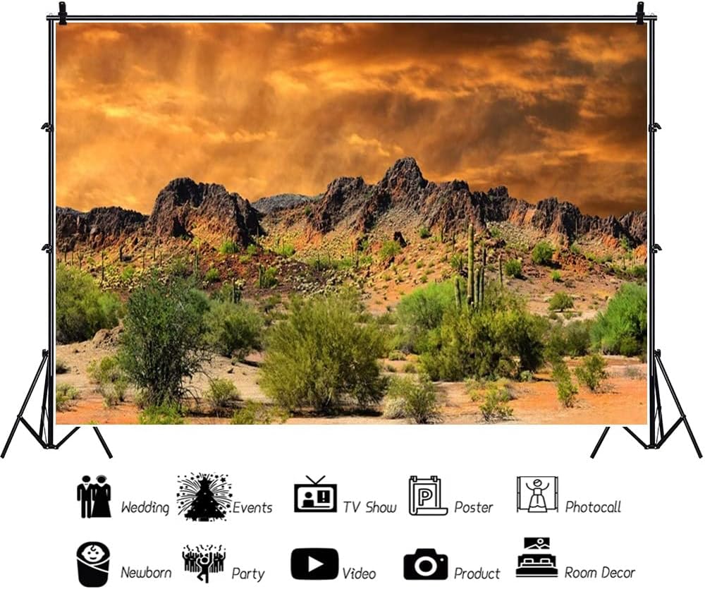 Laeacco Dusk Desolate Desert – Fondo de vinilo para fotografía de 10 x 6.5 pies, cactus resplandecientes, montañas desgastadas, telón de fondo