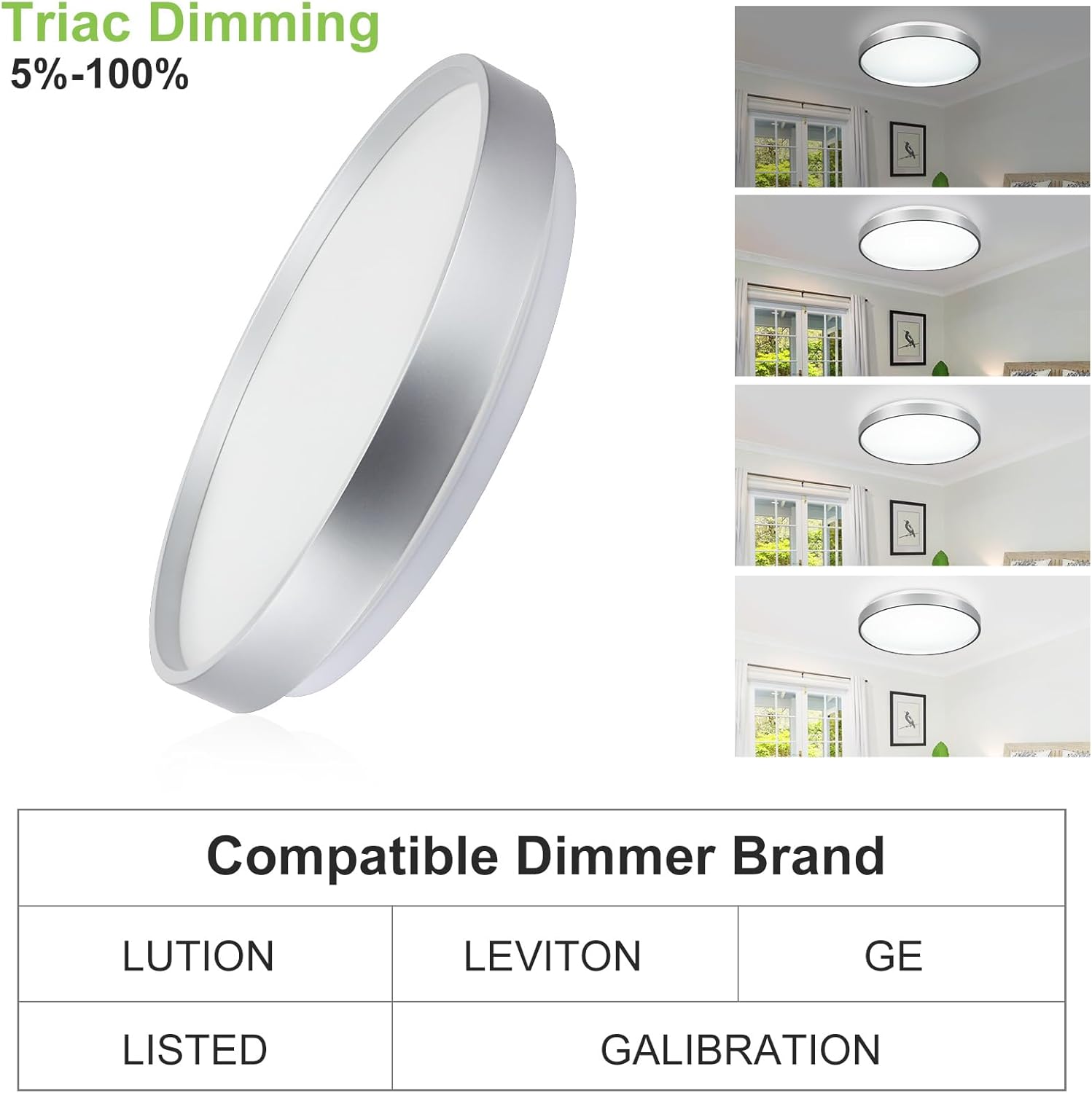 DLLT – Lámpara de techo LED moderna de 24 W, de 13 pulgadas, color plateado, de perfil bajo, luz redonda fina para cocina, dormitorio, sala de