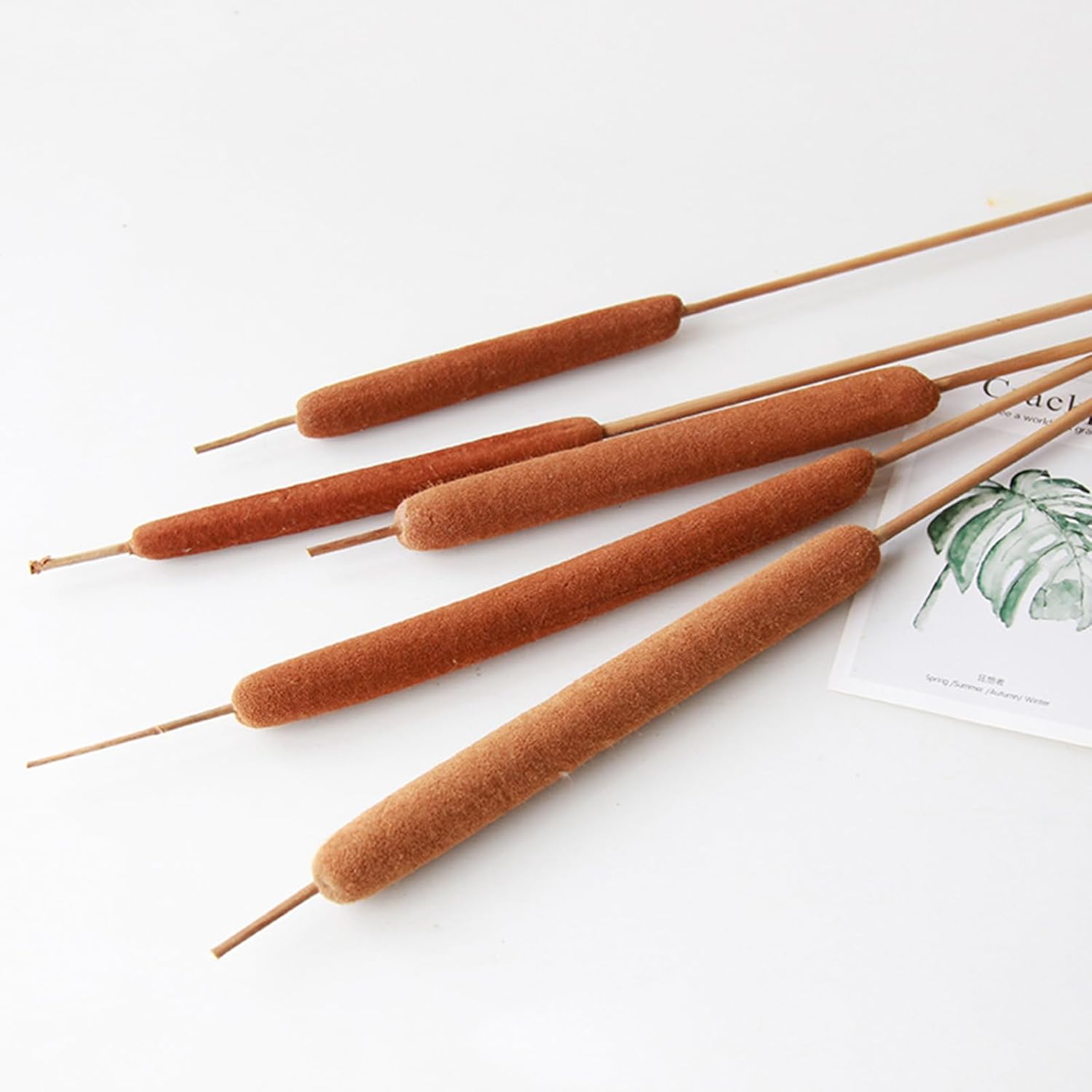 Colas naturales secas  25 piezas para arreglos florales rurales y decoración de oficina en casa  17 pulgadas (25 piezas)