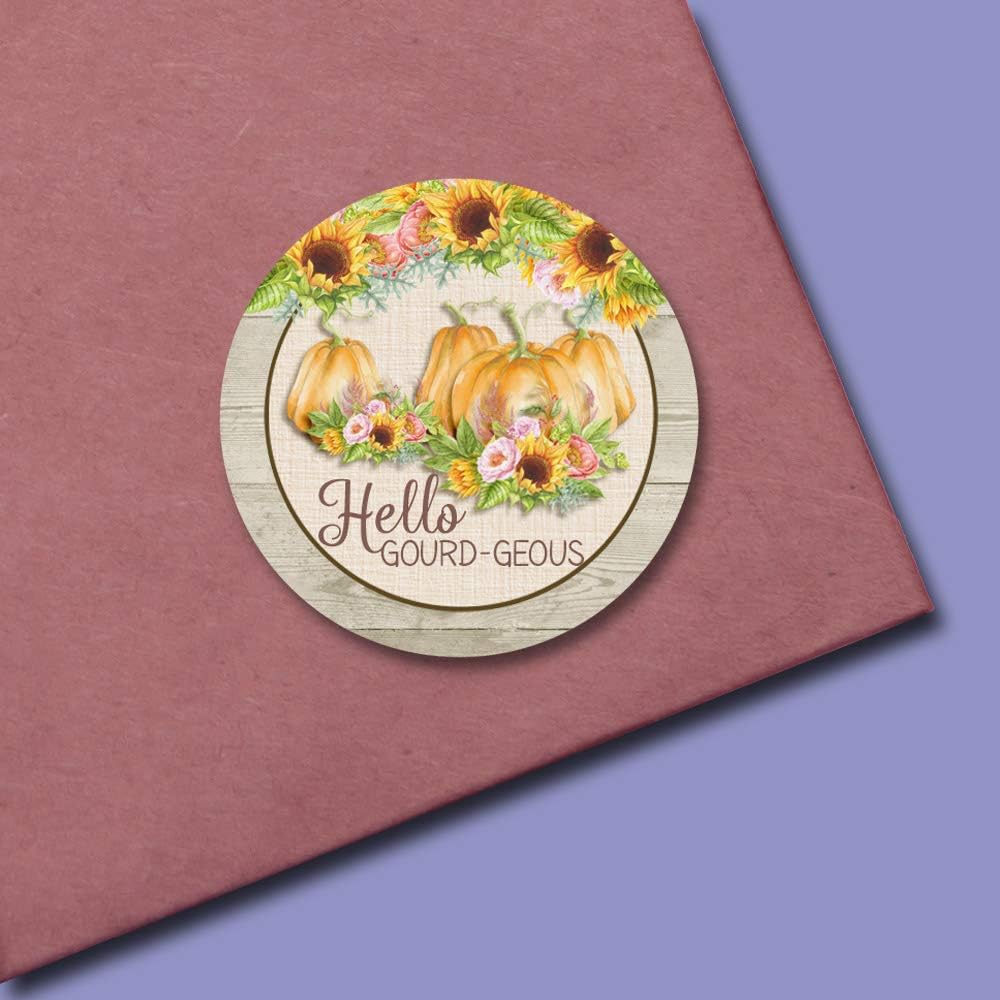 AmandaCreation – Calcomanías de agradecimiento al cliente con diseño de calabaza de otoño y otoño con texto en inglés “Hello Gourd-geous para