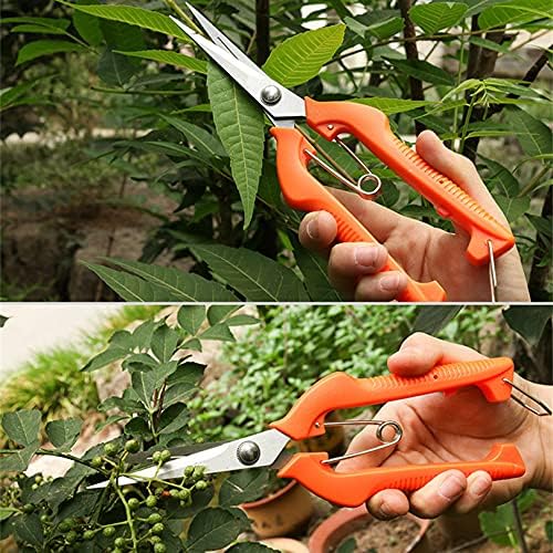 Podadora manual de jardinería de 9.8 pulgadas, tijeras de podar con hoja de acero inoxidable recta alargada, tijeras de micropunta para espacio