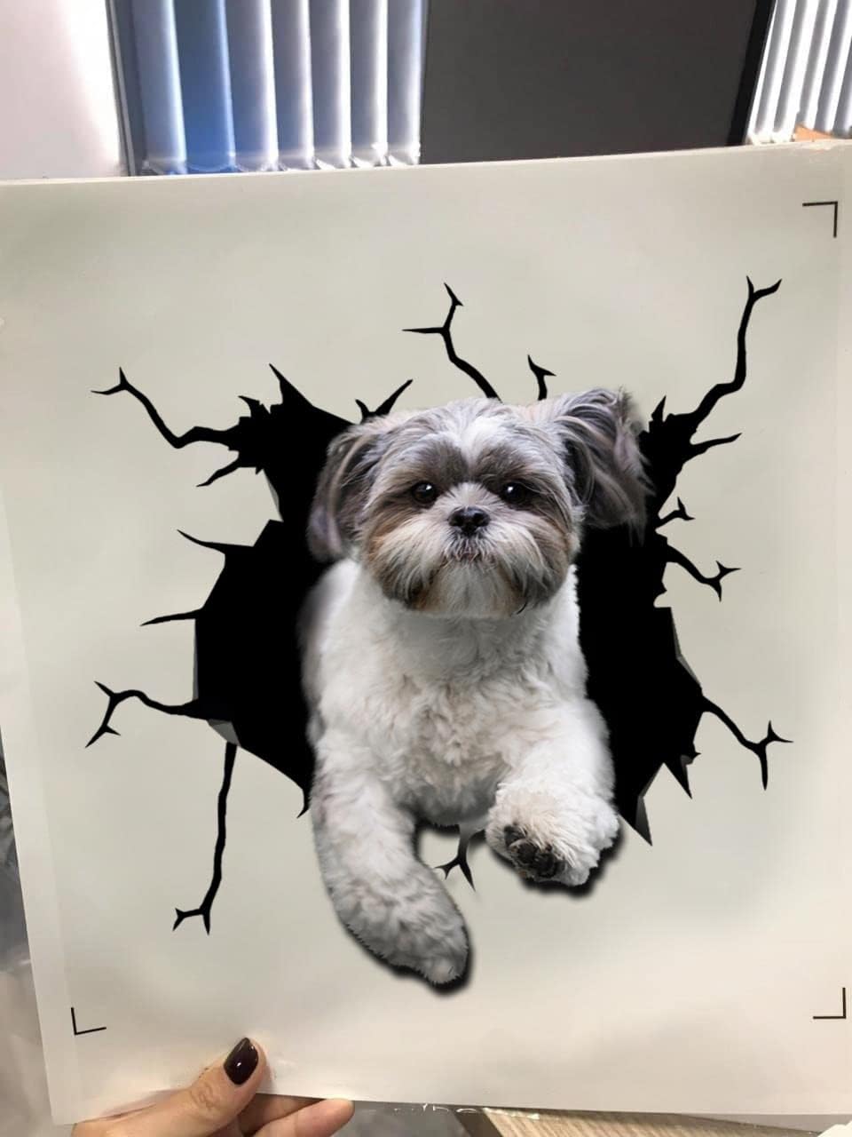 Shih Tzu – Adhesivo de advertencia para ventana de perro Shih Tzu para mujer, divertido memes, parachoques automotriz