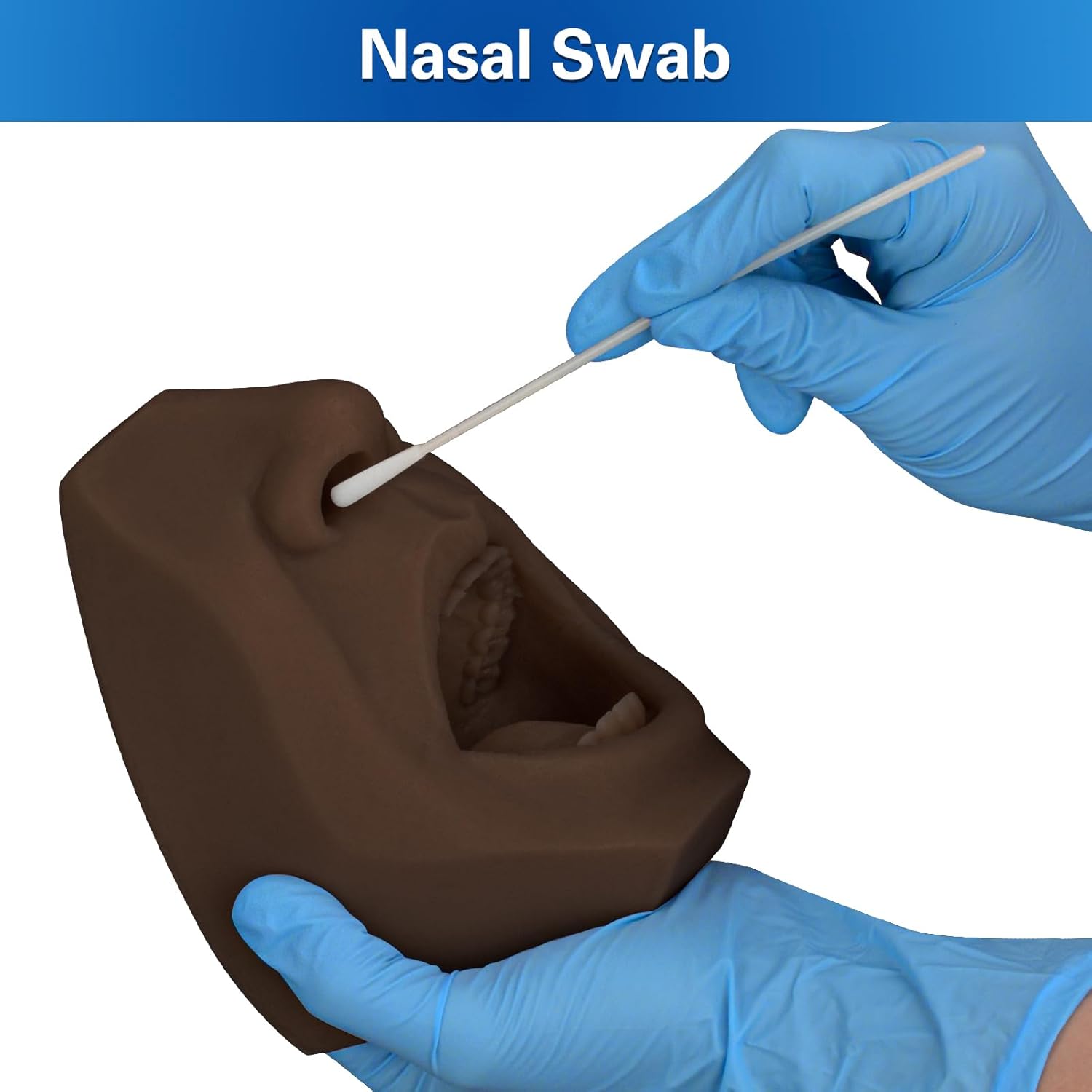 Hisopo nasal, modelo de entrenamiento de prueba de hisopos de garganta, simulador de colección de hisopos, hisopo oral de saliva, acupuntura, modelo