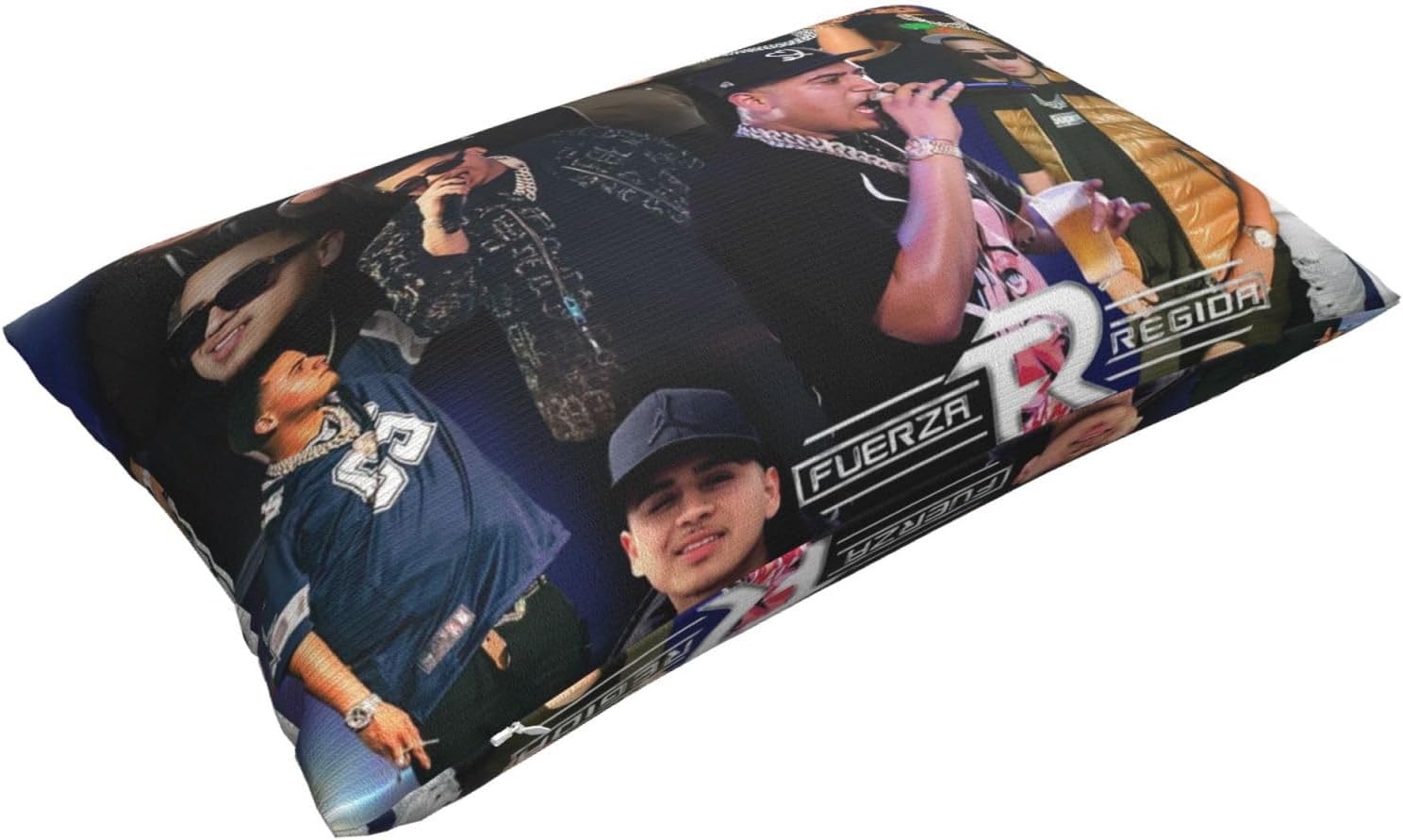 OBLUE Fuerza Singer Regida Band – Fundas de almohada de 20 x 30 pulgadas, funda de almohada para exteriores para decoración de sofá