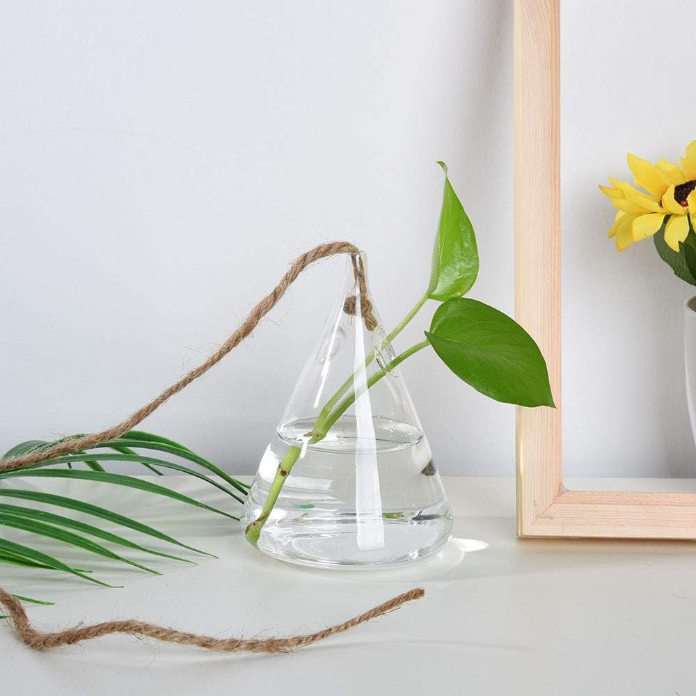 FRAKYEN Jarrón hidropónico de cristal, maceta para decoración del hogar
