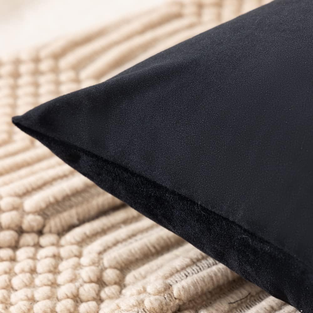 Paquete de 4 fundas de almohada de terciopelo, fundas de almohada suaves de 18 x 18 pulgadas, almohadas para decoración del hogar (22 x 22 pulgadas,