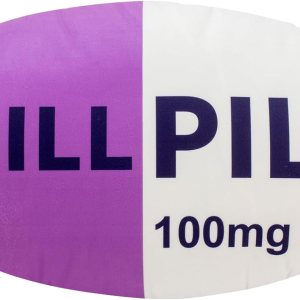 Almohada de píldora Chill  Regalo de elefante blanco, lindas almohadas de preppy para decoración de habitación preparada, decoración estética de Almohada de píldora Chill  Regalo de elefante blanco, lindas almohadas de preppy para decoración de habitación preparada, decoración estética de