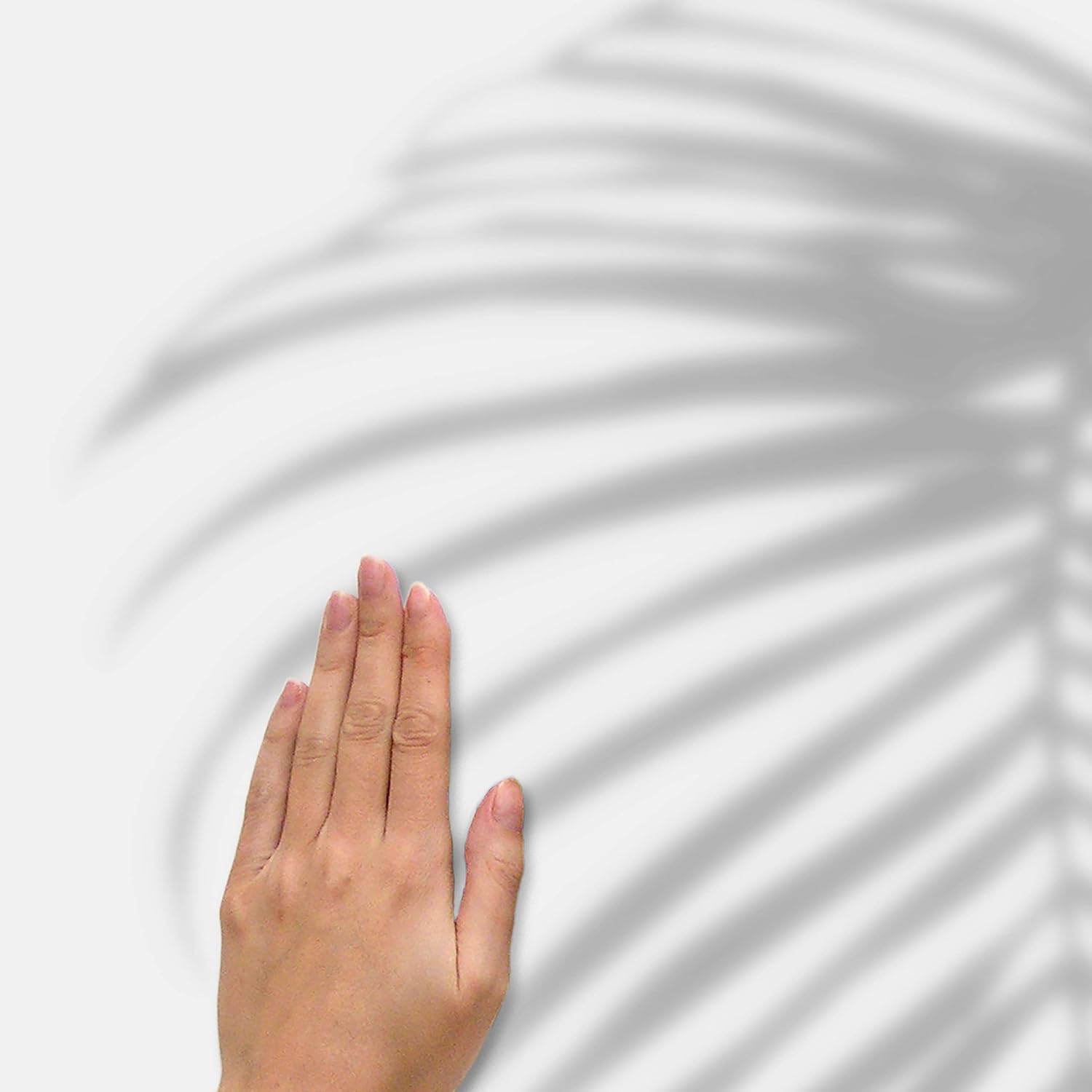 RoomMates RMK5063SLM Mr. Kate Tropical Shadow Palm Frond – Calcomanías de pared para despegar y pegar, color gris