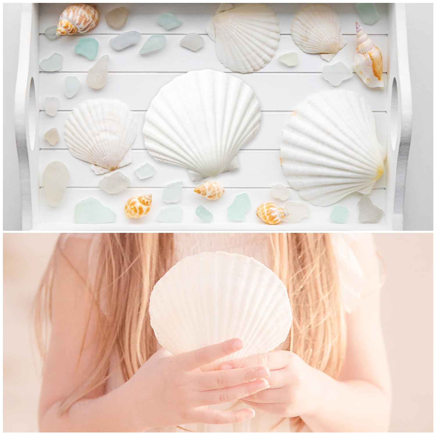 16 conchas de vieira natural, conchas de vieira blancas de 4 a 5 pulgadas, conchas marinas grandes para manualidades, decoración de boda, fiesta