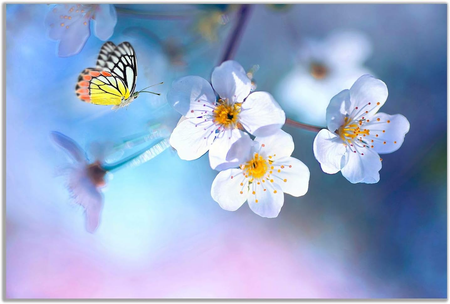 Beautiful Butterfly White Flowers Canvas Wall Art Picture Print (12×8)