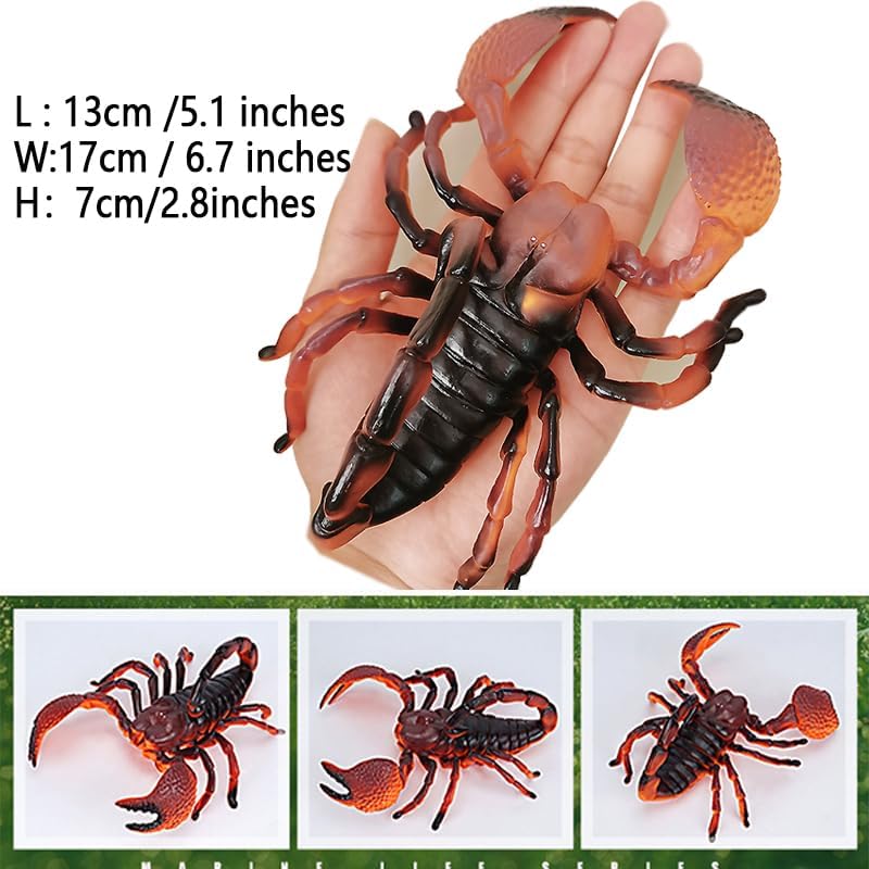 Muñeca de insecto 12 muñecas de animales de insectos extra grandes para niños Educación temprana Cognición Animal Juguete Modelo Rinoceronte