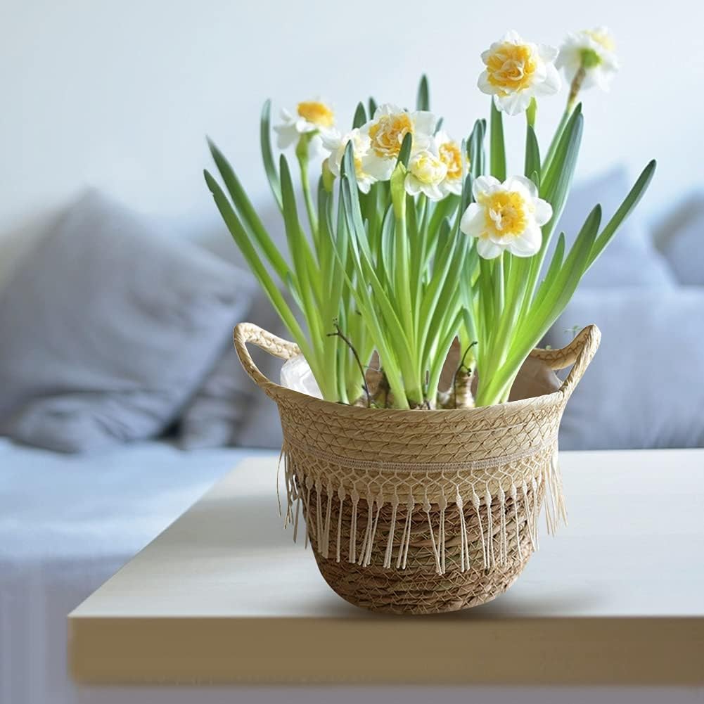Cesta de almacenamiento tejida de hierba marina para plantas, cesta de lavandería de egrass, cestas decorativas de mimbre con asas, cesta de vientre