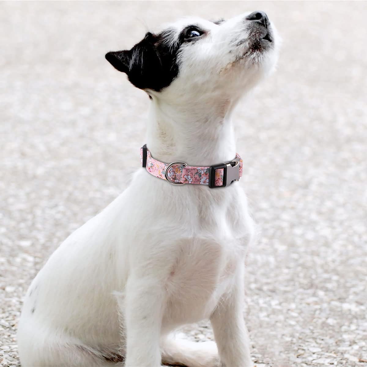 XYART Collar para perros pequeños, medianos y grandes, collar de algodón para mascotas, patrones de margaritas y rosas con hebilla de liberación
