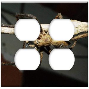 Double Duplex Outlet Wall Plate Cover – Insects Nature Area Kettle Quindio 2 Double Duplex Outlet Wall Plate Cover – Insects Nature Area Kettle Quindio 2