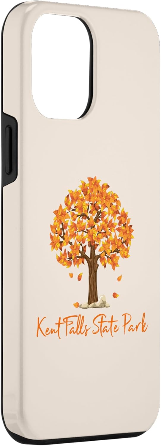 Funda de color para iPhone 13 Pro Max Kent Falls State Park Autumn Follage Fall Leaf Peeping