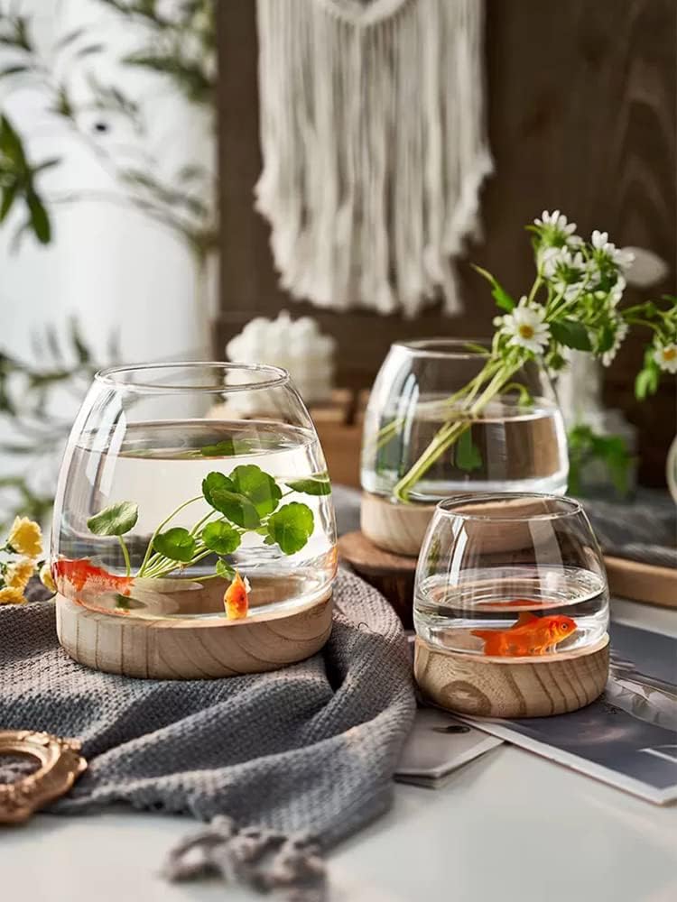 Jarrón de vidrio con base de madera desmontable, pequeño jarrón de vidrio de escritorio para plantas hidropónicas, terrario ecológico, acuario,